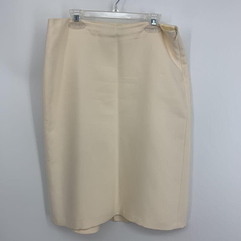 Ann Taylor, Ann Taylor Skirt